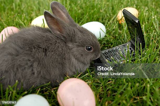 Easter Bunny Stockfoto und mehr Bilder von Am Telefon - Am Telefon, Domestizierte Tiere, Drahtlose Technologie