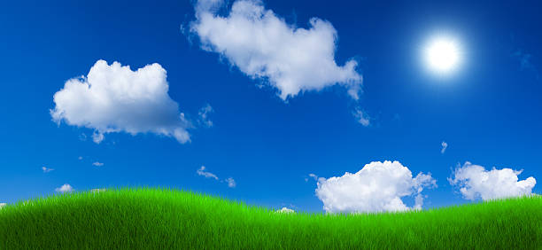 Green Grass and Blue Sky with Sun stock photo