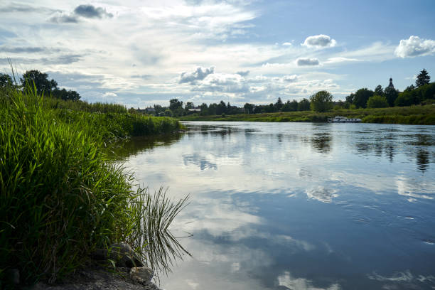 rural landscape with the Warta river and forest during summer, Poland