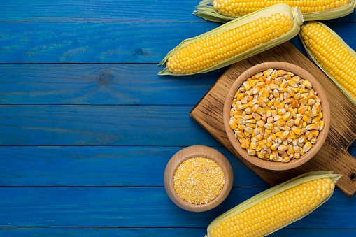 Corn groats and seeds with fresh cobs on wooden background, top view