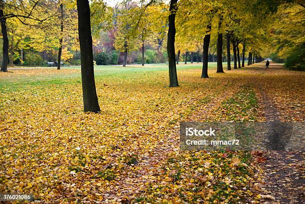 Parque Outono - Fotografias de stock e mais imagens de Adulto - Adulto, Amarelo, Ao Ar Livre