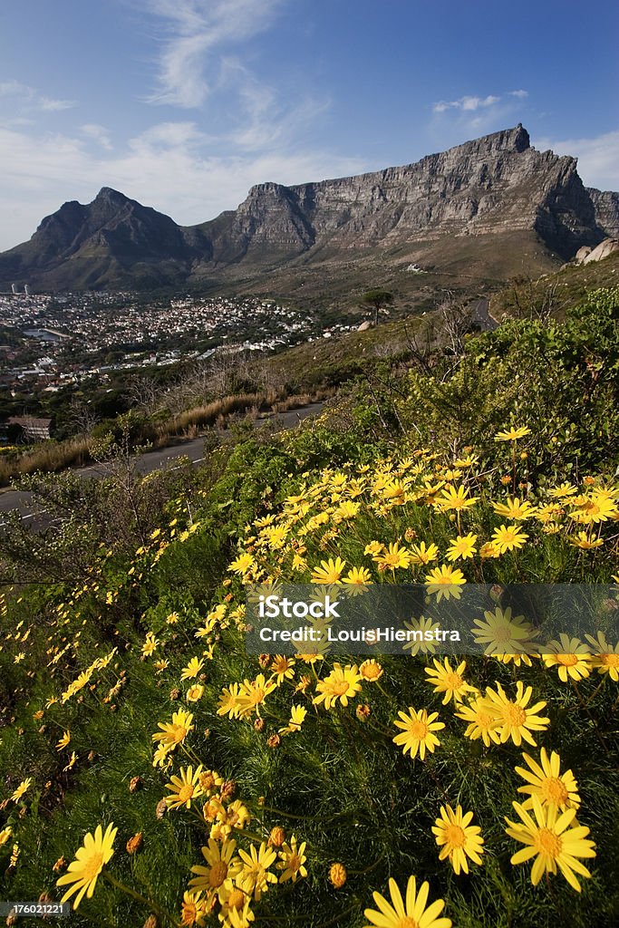 Table Mountain - Lizenzfrei Berg Stock-Foto