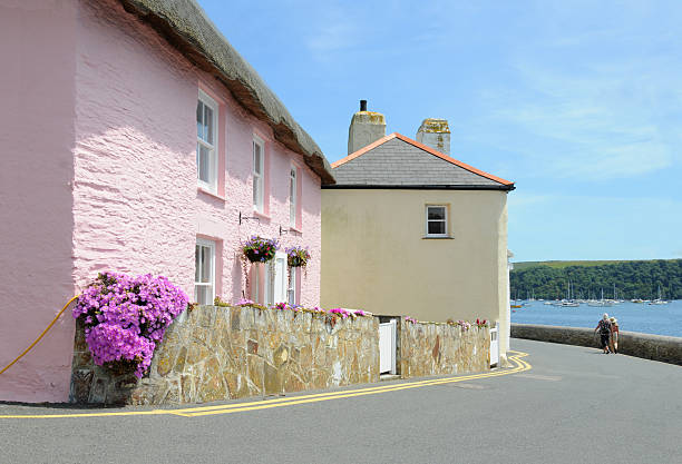 istock Pink house with flowers and two seniors walking 176021249