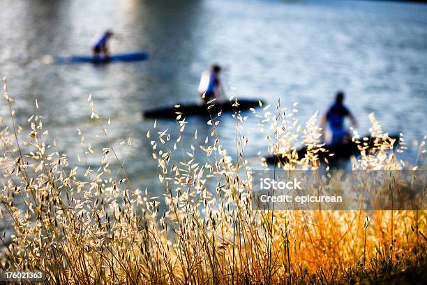 Kayakers 교육 3 명에 대한 스톡 사진 및 기타 이미지 - 3 명, 강, 건강한 생활방식