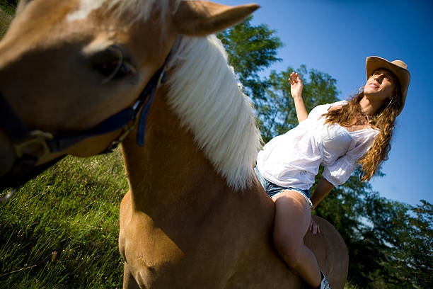 cavalo carruagem - jockey shorts - fotografias e filmes do acervo