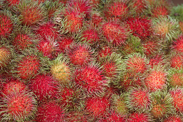 rambutan