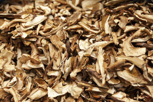 istock package of dried porcini mushrooms 1760223300