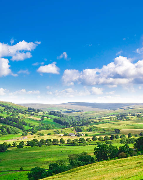istock Perfect English Summer Countryside 176022917