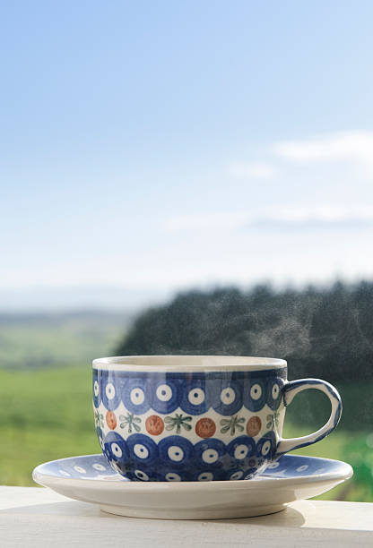 istock Hot Drink in the Countryside 176023151