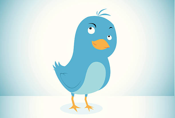 Blue Bird Icon Stock Illustration - Download Image Now - Bird, Online  Messaging, Cartoon - iStock
