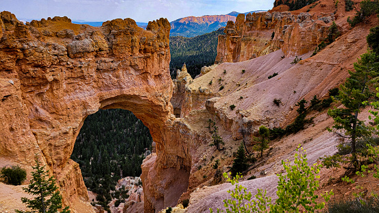 Taken while hiking on a trail in Bryce Canyon National Park.