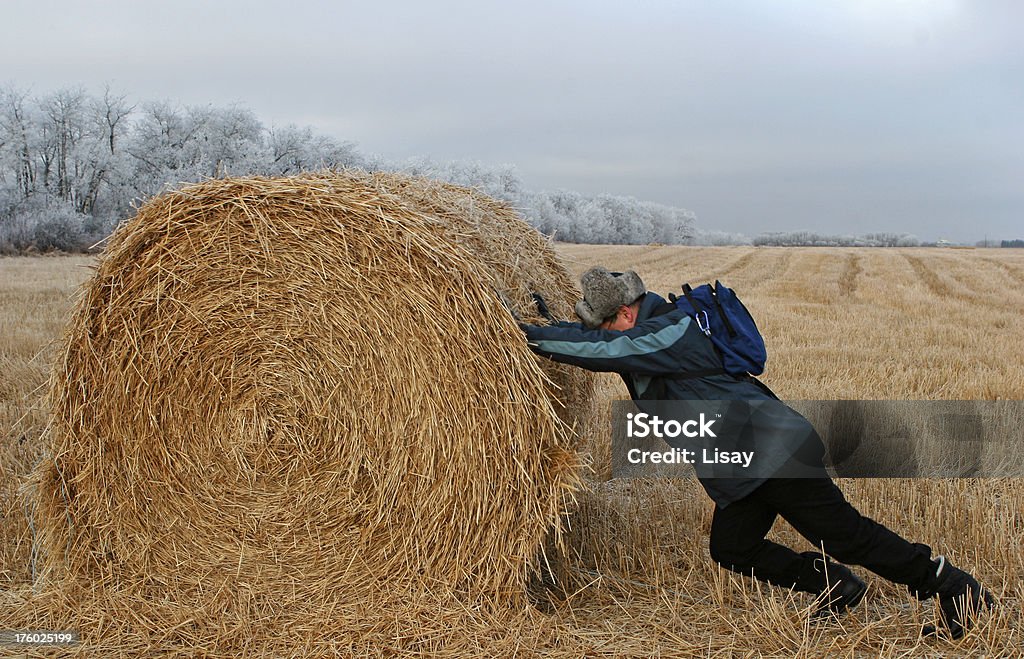 Rolling foin - Photo de Activité libre de droits