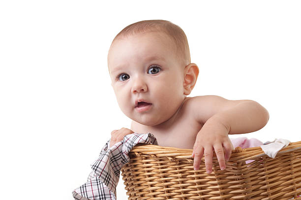 istock Curious Baby in Basket 176025258