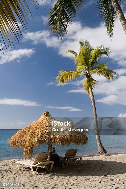 카리브해 비치 야자수 St. Lucia's Day에 대한 스톡 사진 및 기타 이미지 - St. Lucia's Day, 야자 나무 - Arecales, 0명