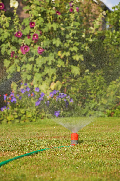 istock Lawn sprinkler # 6 XXXL 176025412