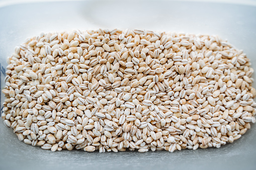 Pearl barley top view. White cereal. Pearl barley grains. High quality photo