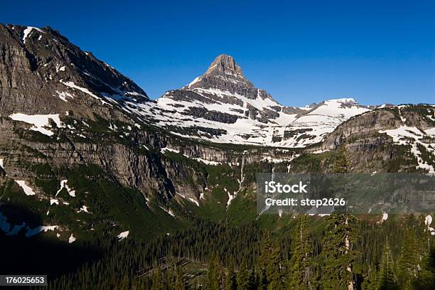 Park Narodowy Glacier - zdjęcia stockowe i więcej obrazów Bez ludzi - Bez ludzi, Bezchmurne niebo, Drzewo
