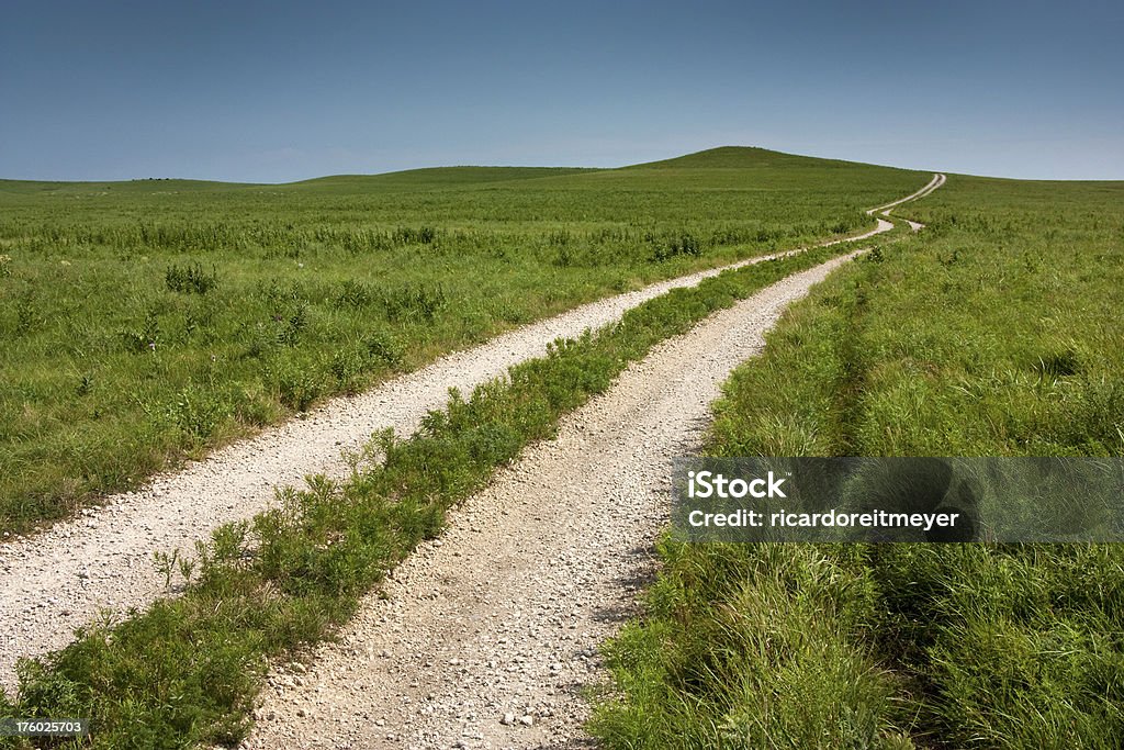 O sinuoso country road por altos grama prairie pasture - Foto de stock de Branco royalty-free