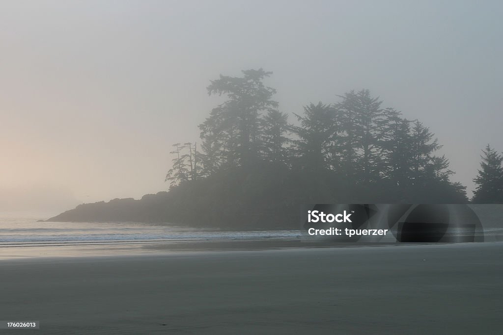 Hermosa playa niebla - Foto de stock de Actividades recreativas libre de derechos