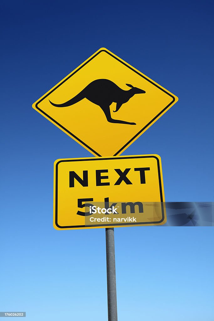 Canguru australiano Placa de estrada - Foto de stock de Animal royalty-free