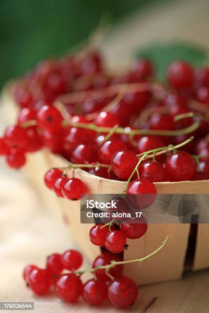 Cesto Cheio De Vermelho Groselhas - Fotografias de stock e mais imagens de Alimentação Saudável - Alimentação Saudável, Ao Ar Livre, Caule de planta