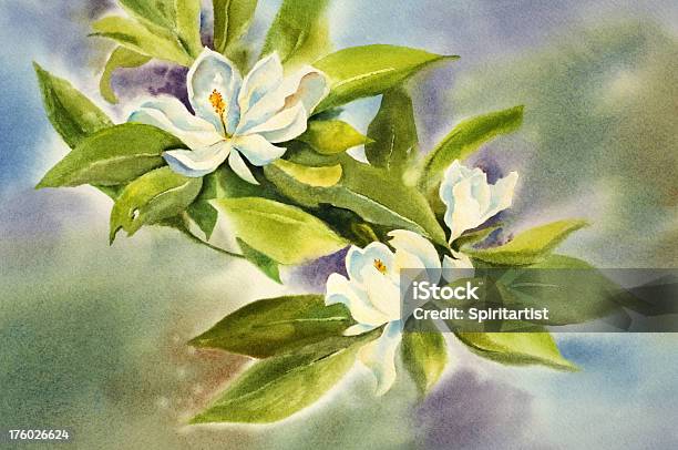 Wild Magnolienblüten Stock Vektor Art und mehr Bilder von Magnolien - Magnolien, Aquarell, Blume