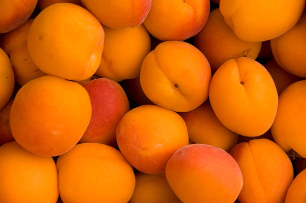 istock Apricots - fresh and delicious 176027592