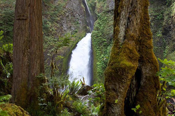 istock Wachella Falls, Columbia River Gorge, Oregon 176027644