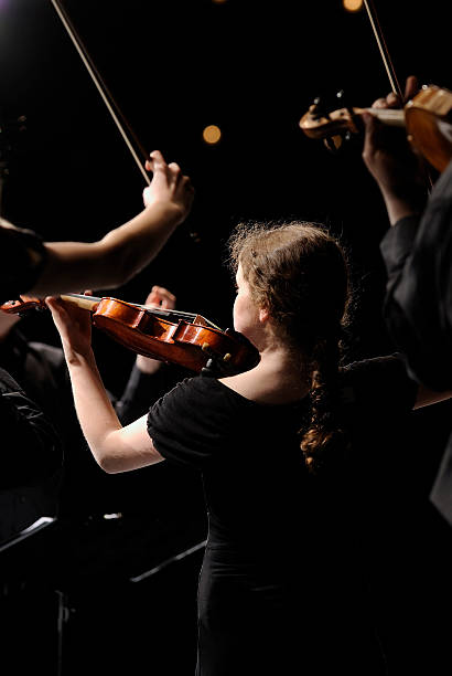 istock Violinist at concert 176027911