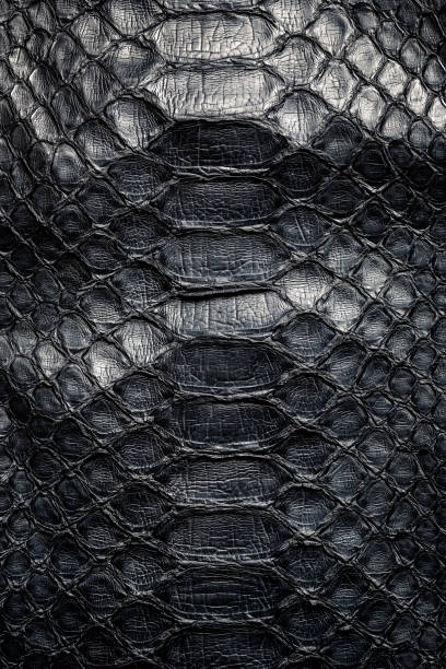 istock Snake skin closeup pattern texture. Reptile leather background. 1760284808