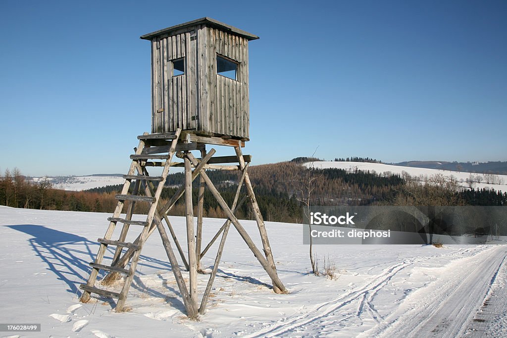Torre - Foto de stock de Floresta royalty-free