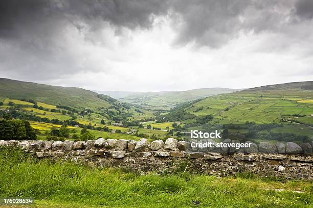 Verregneter Tag In Der Yorkshire Dalesnationalpark Stockfoto und mehr Bilder von Steinmauer