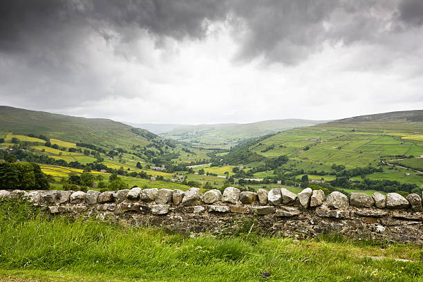 Stone wall and wooden gate in the Derbyshire in the United Kingdom