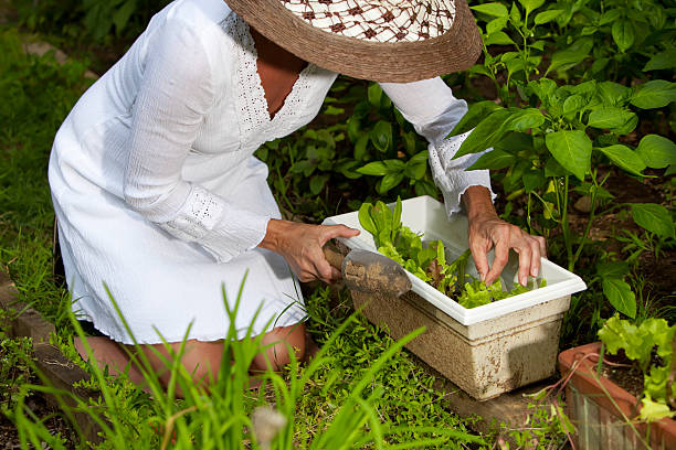 istock Woman gardening 176028982
