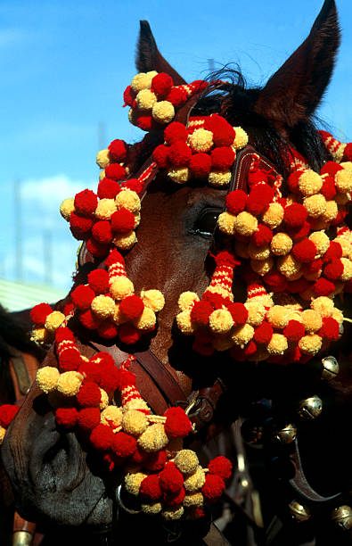 pferd in la feria, andalusien - malaga seville cadiz andalusia stock-fotos und bilder