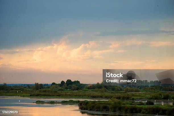 Camargue - Fotografias de stock e mais imagens de Paisagem - Cena Não Urbana - Paisagem - Cena Não Urbana, Aigues-Mortes, Ao Ar Livre