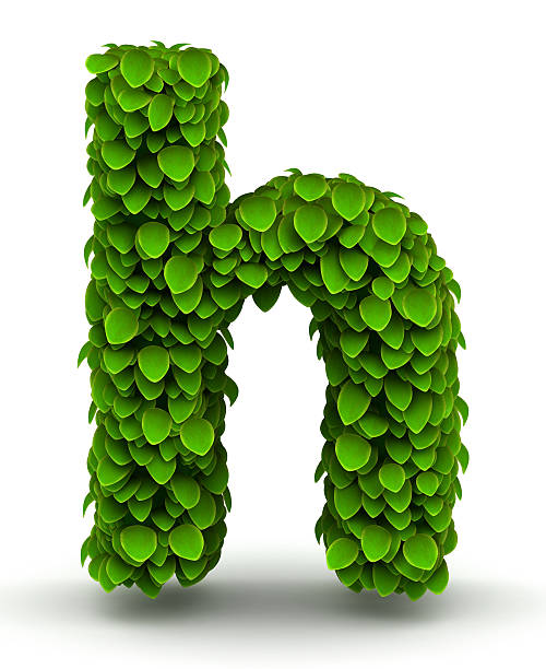 잎 서체가 소문자 알파벳 h - letter h alphabet three dimensional shape green 뉴스 사진 이미지