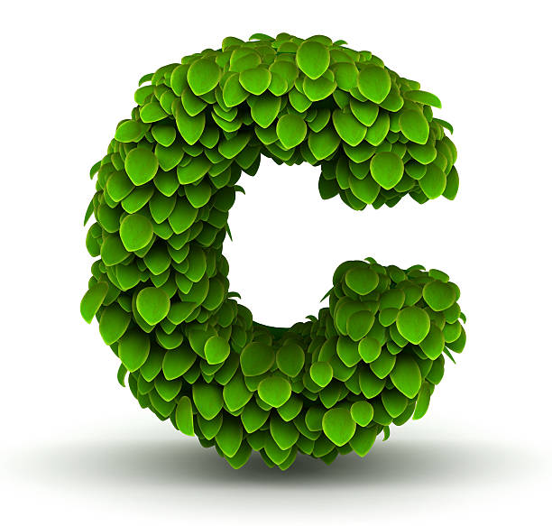Leaves font letter c lowercase stock photo