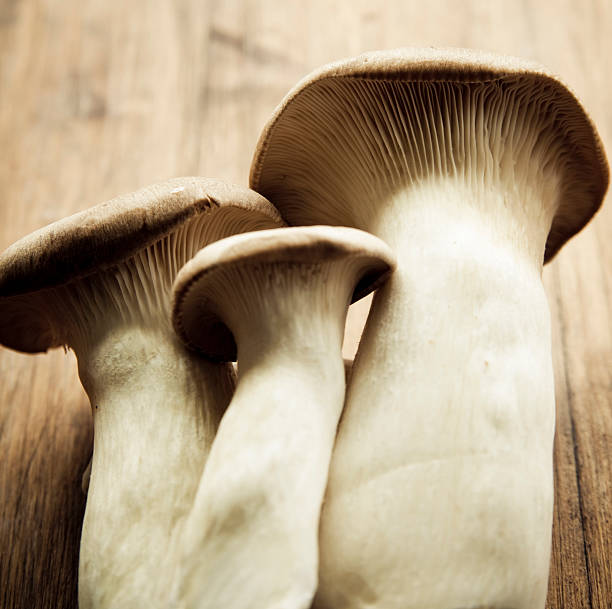 istock King Eryngii mushrooms 176030129