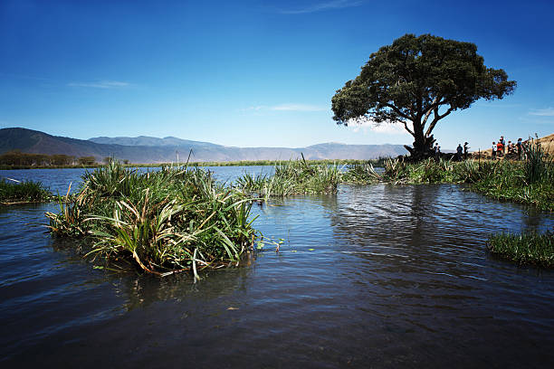 Tanzania.Travel. - foto de acervo