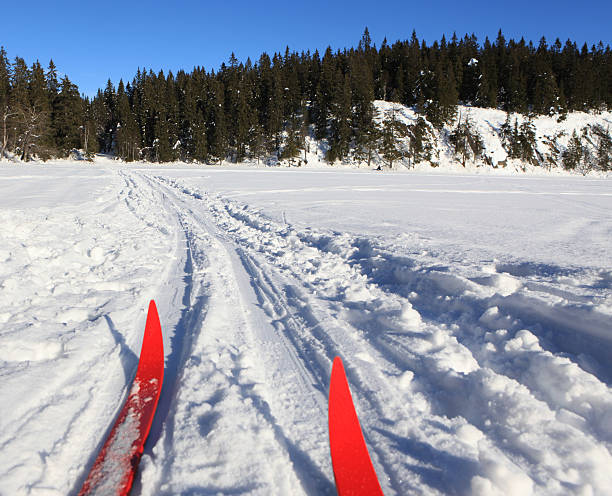 istock Cross country skiing in Oslo 176030415