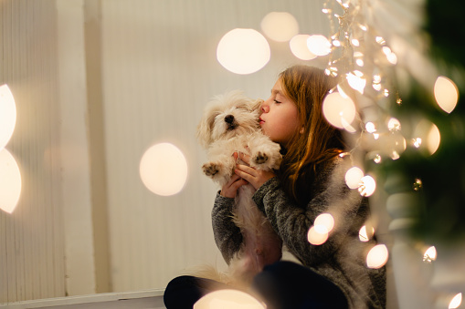 Cheerful girl kissing her pet sitting on a staircase on Christmas eve and having fun