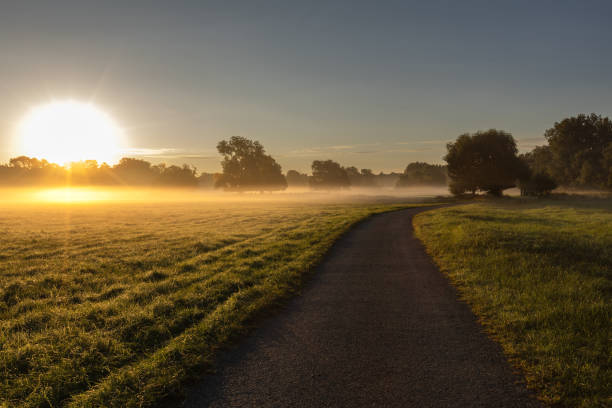 istock A beautiful morning in a floodplain where the path leads lit by the first rays of the sun. 1760311365