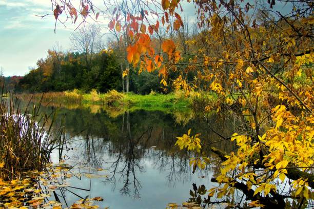 istock Autumn Colors Beside a Small River 1760333120