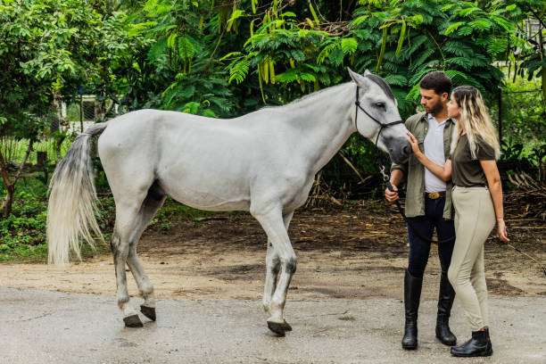 Couple petting their horse at ranch