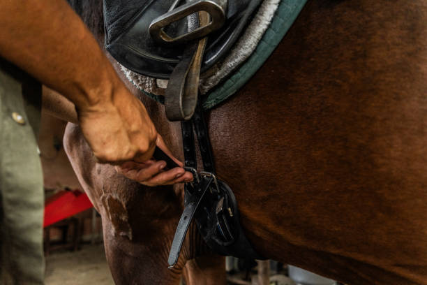 istock Close-up of a man putting a saddle on a horse 1760355184