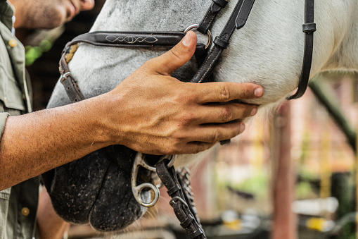Close-up of a man putting a saddle on a horse