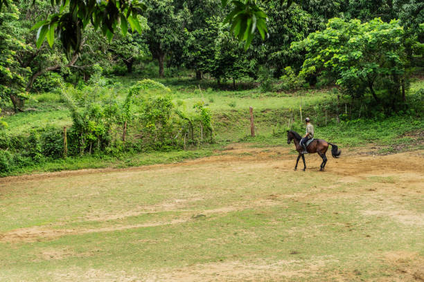 Person riding a horse on the ranch