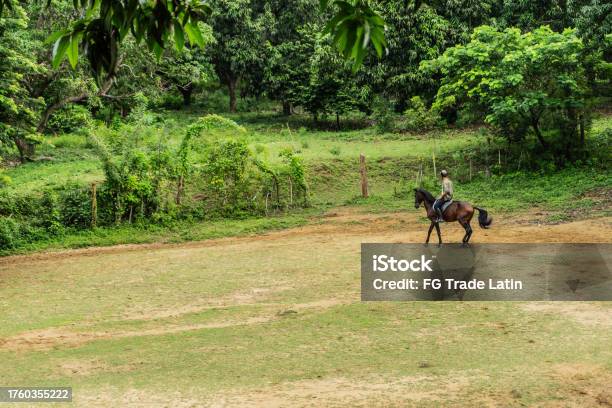 Person Riding House Person Riding A Horse On The Ranch Stock Photo - Download Image Now ...