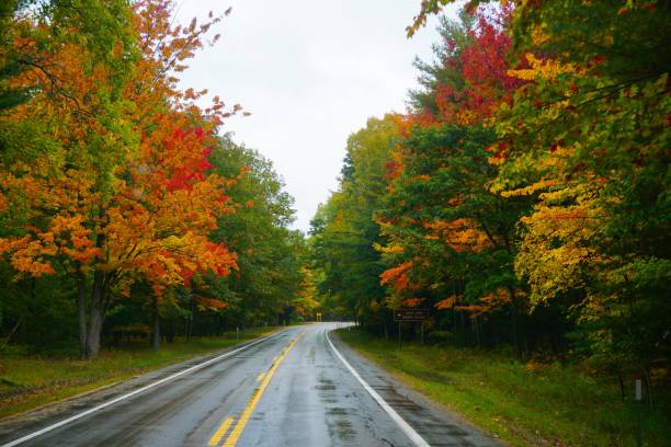 スリーピングベア砂丘国立湖岸、ミシガン州 - leelanau county ストックフォトと画像